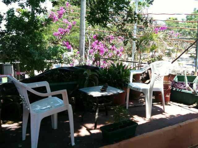Mayan Hostel Канкун Экстерьер фото